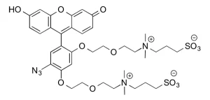CCT 1369 Structure
