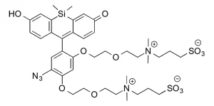 CCT 1371 Structure