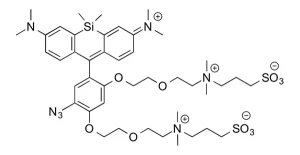 CCT 1372 Structure