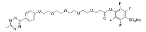CCT 1399 Structure