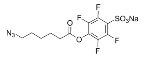 CCT 1401 Structure