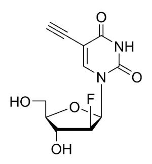 CCT 1403 Structure