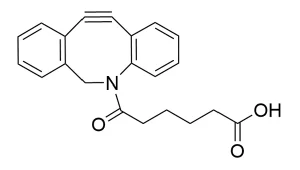 CCT A101 Structure