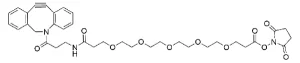 CCT A102P Structure