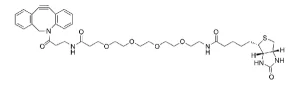 CCT A105 Structure