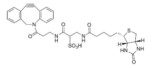 CCT A116 Structure