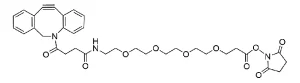 CCT A134 Structure
