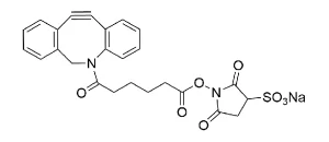 CCT a124 Structure