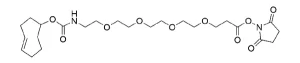 CCT a137 Structure