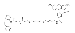 FP 1260 1 structure