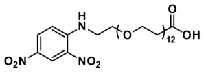 QBD 10398