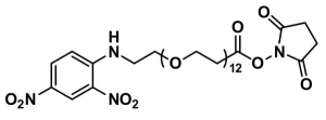 QBD 10399
