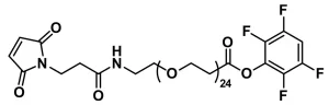 QBD 10554